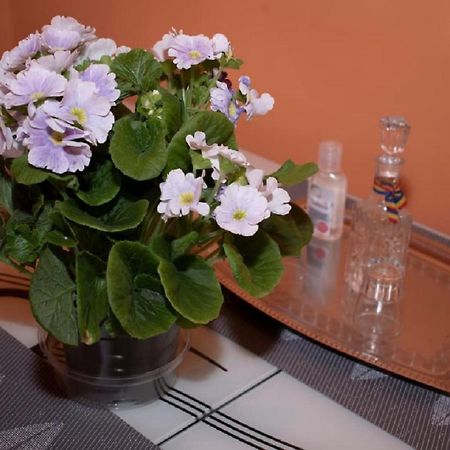 Central Apartment Maria Sybin Zewnętrze zdjęcie